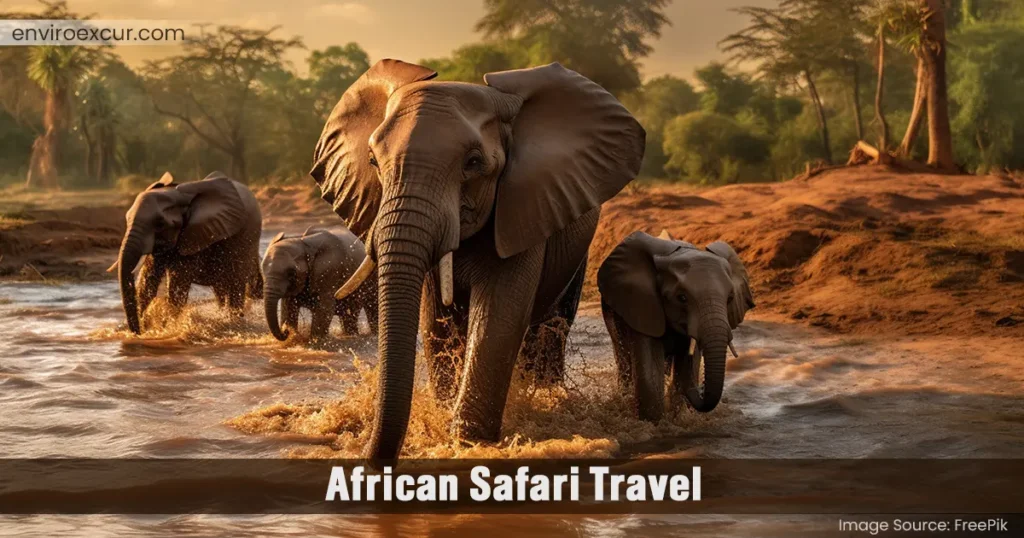 African Safari Travel-Sustainability and Travel Budgets